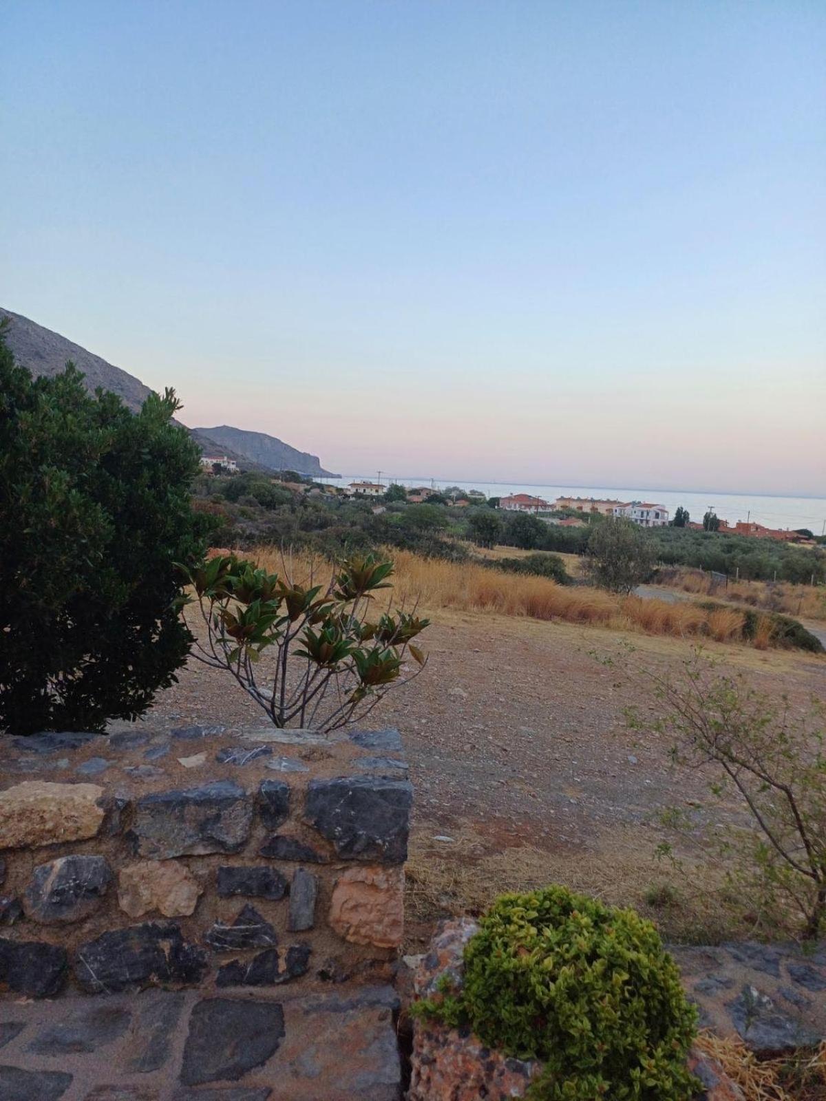 Althaea * Monemvasia